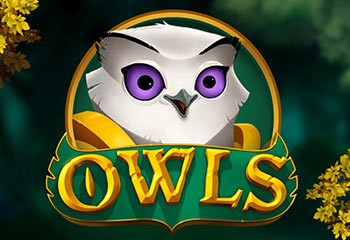 Owls